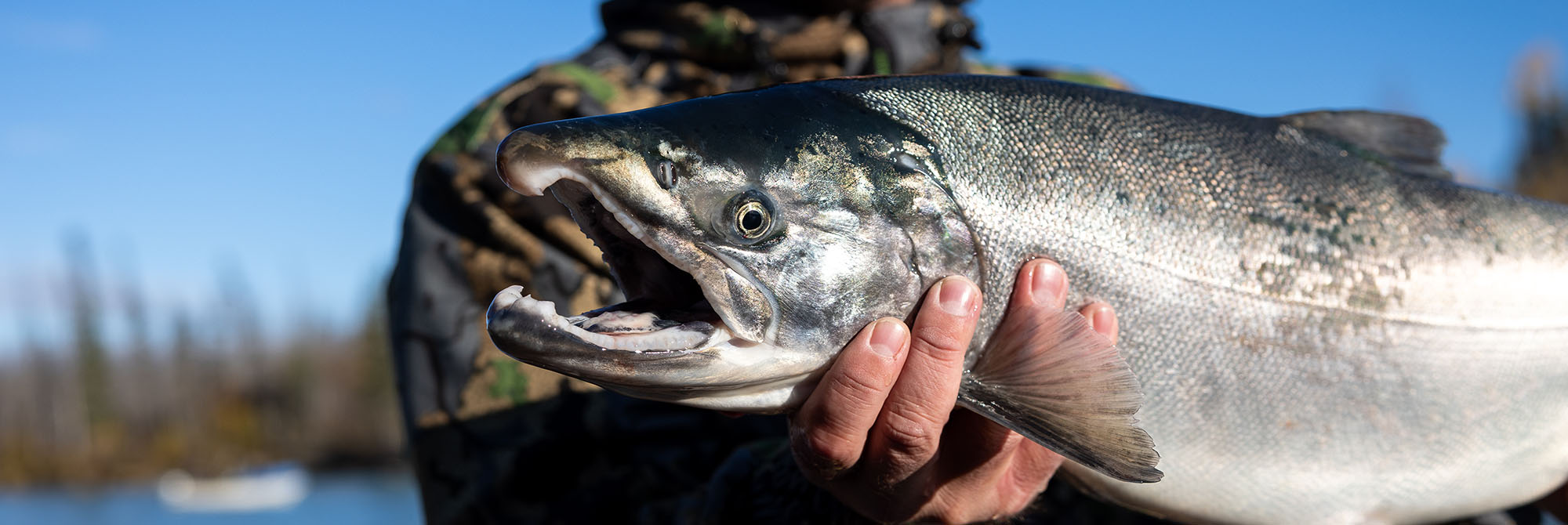 Blog Kenai Fishing Company