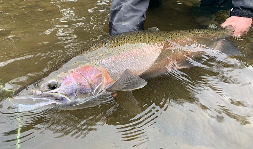 Kenai Trout Fishing Charters in with Kenai Fishing Company