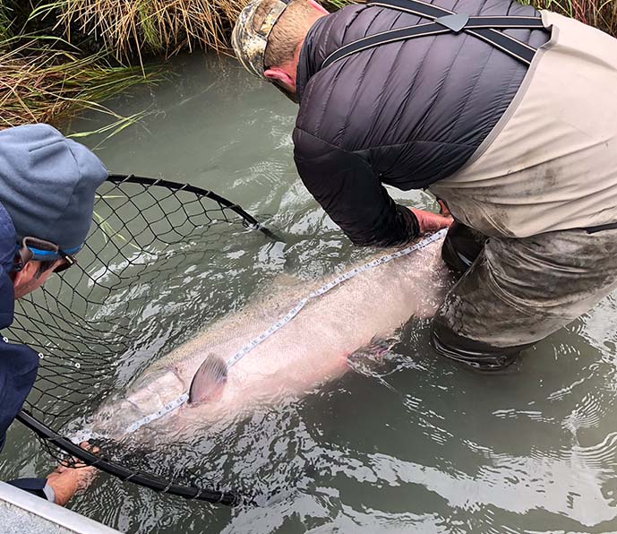 kenai river salmon fishing charter