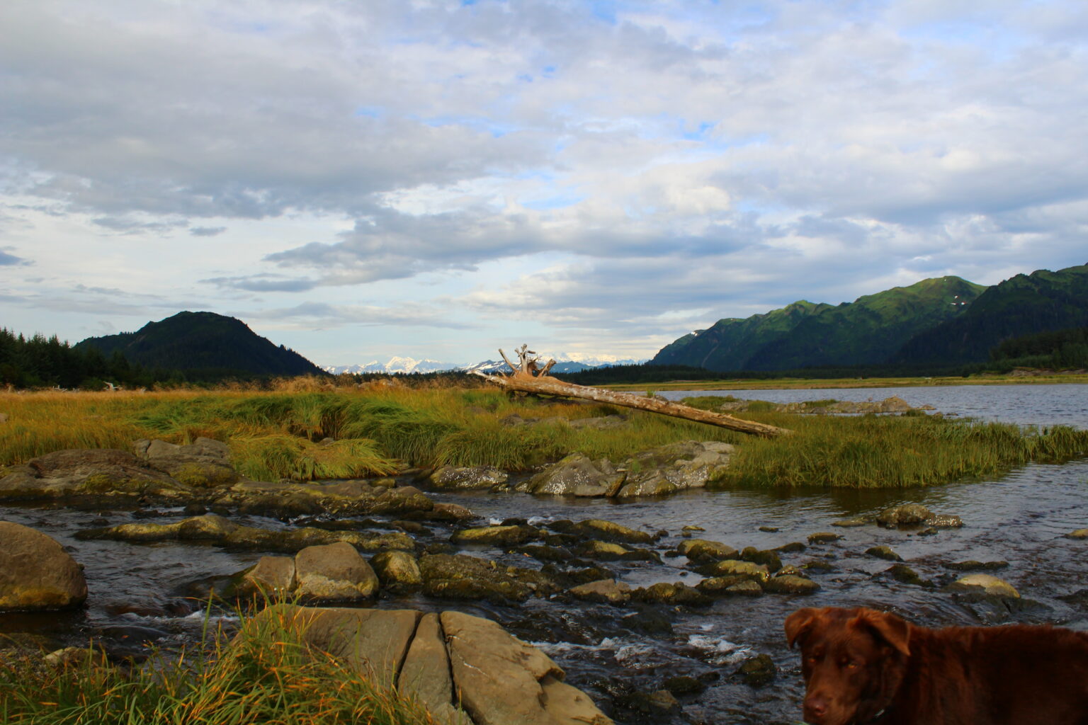 Kenai Fishing Charters Fishing the Kenai & Kasilof Rivers